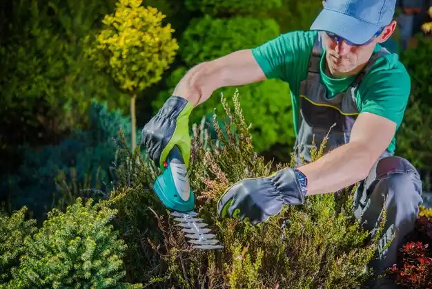 landscaping services Toomsuba